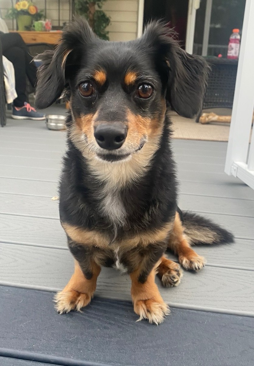 Bruce, candidate for Most Licked Ass-et